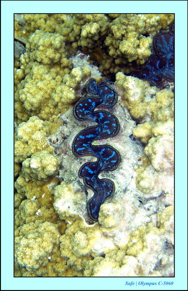 2005 - 08 - Perhentian  - 058.JPG